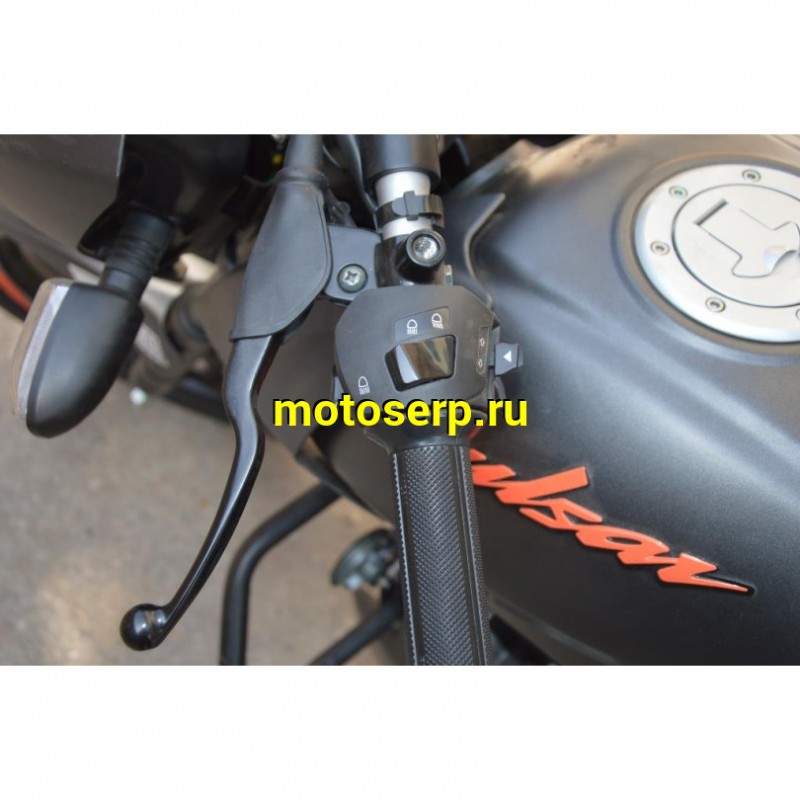 Купить  Мотоцикл BAJAJ Pulsar 180 ( Баджаж Пульсар 180)  180сс,4Т.,возд.охл.,карбюр.,кол.17"/17" (шт) купить с доставкой по Москве и России, цена, технические характеристики, комплектация фото  - motoserp.ru