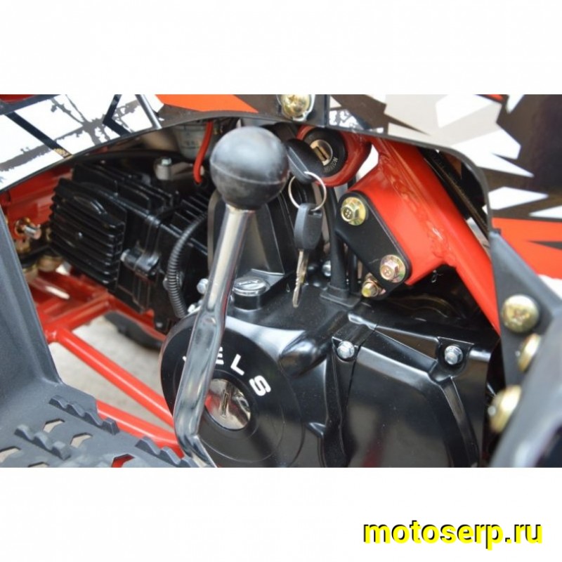 Купить  ====110cc Квадроцикл Wels THUNDER EVO 110, 110сс, утилит. 9-12 лет, кол.7" автомат, реверс, сигнал с контр. тормоза Диск/диск, и пр. (шт) (ФОТО купить с доставкой по Москве и России, цена, технические характеристики, комплектация фото  - motoserp.ru