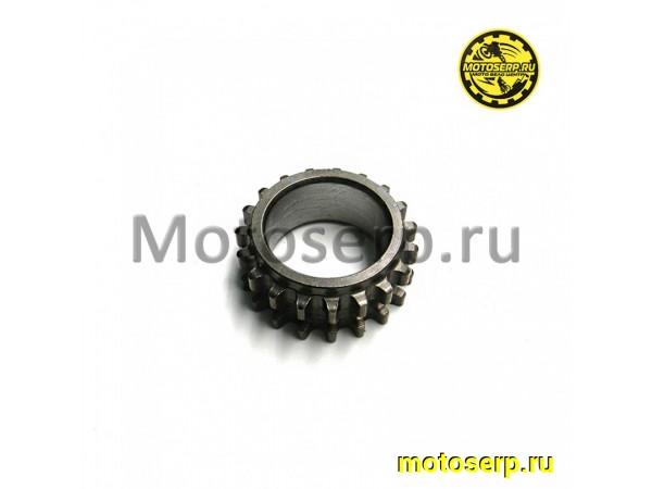 Купить  Шестерня вала коленчатого 172FMM (CB250D-F) CN (шт) (TATA 800003030 купить с доставкой по Москве и России, цена, технические характеристики, комплектация фото  - motoserp.ru