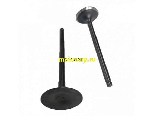 Купить  ====Клапан 172FMM впуск D-31mm, d-27mm, L-88mm, l-85mm, T-5mm, t-5mm) (CB250D-F) (шт) (0 купить с доставкой по Москве и России, цена, технические характеристики, комплектация фото  - motoserp.ru