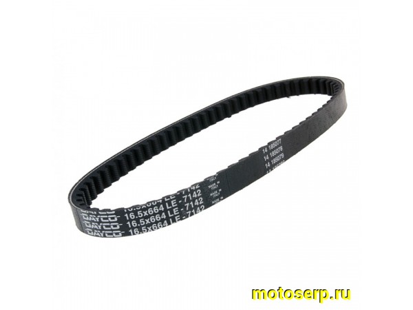 Купить  Ремень вариатора 664х14,5; Honda Gyro X (шт) (Regul 100444 (MOTO-SKUTER 4130 купить с доставкой по Москве и России, цена, технические характеристики, комплектация фото  - motoserp.ru