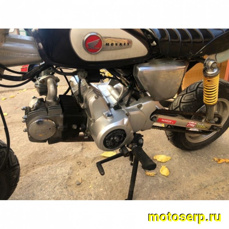 Купить  ====Мопед Honda Monkey 125 4МКПП 1999г.в. ПТС Из Японии,без пробега по РФ купить с доставкой по Москве и России, цена, технические характеристики, комплектация фото  - motoserp.ru