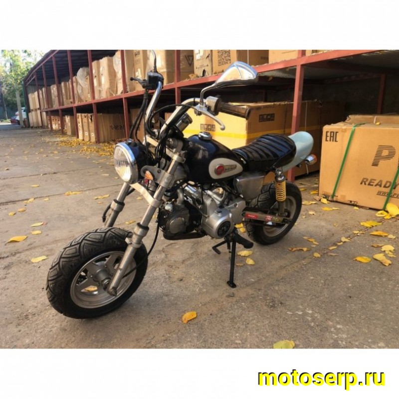 Купить  ====Мопед Honda Monkey 125 4МКПП 1999г.в. ПТС Из Японии,без пробега по РФ купить с доставкой по Москве и России, цена, технические характеристики, комплектация фото  - motoserp.ru