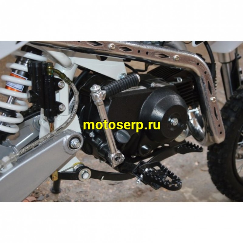 Купить  ====Питбайк BSE EVO 110 E SA 12/10 Green Blade 3 (Полуавтоматическая КПП) (Бер) (шт) (0 купить с доставкой по Москве и России, цена, технические характеристики, комплектация фото  - motoserp.ru