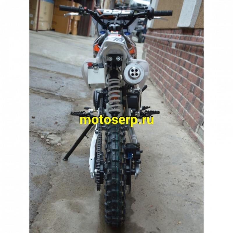 Купить  ====Питбайк BSE EVO 110 14/12 Red Blade 3 (Механическая КПП) (шт).   купить с доставкой по Москве и России, цена, технические характеристики, комплектация фото  - motoserp.ru