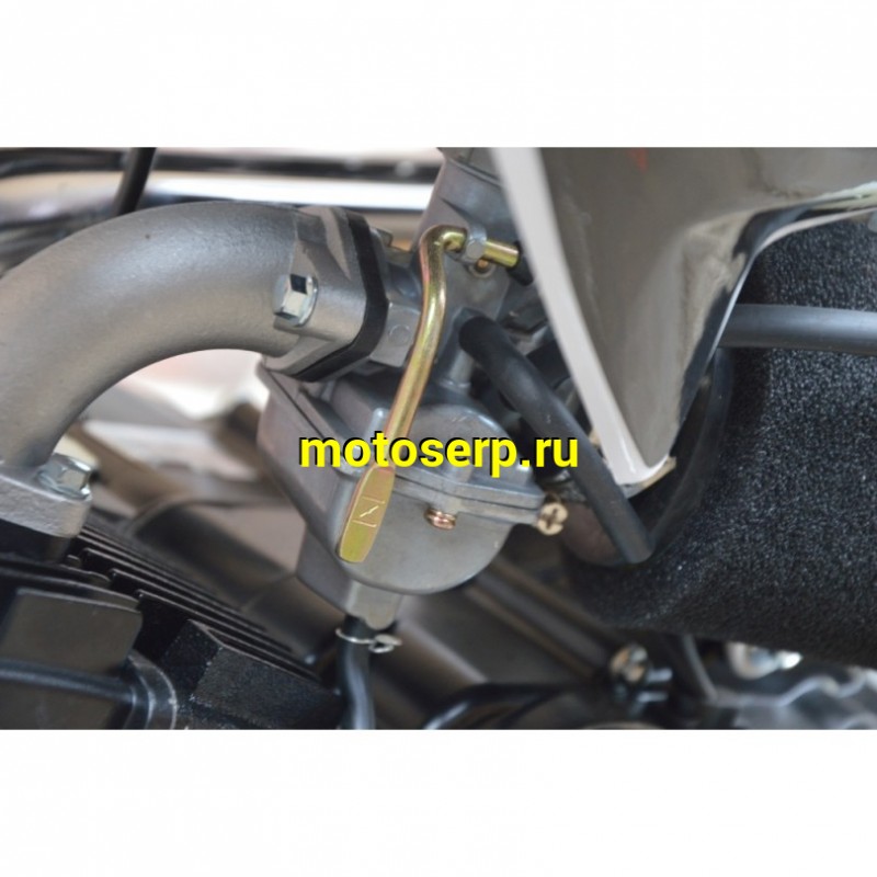 Купить  ====Питбайк BSE EVO 110 14/12 Red Blade 3 (Механическая КПП) (шт).   купить с доставкой по Москве и России, цена, технические характеристики, комплектация фото  - motoserp.ru