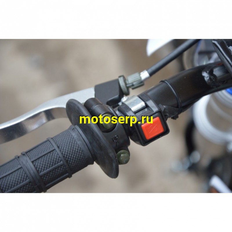 Купить  ====Питбайк BSE EVO 110 14/12 Red Blade 3 (Механическая КПП) (шт).   купить с доставкой по Москве и России, цена, технические характеристики, комплектация фото  - motoserp.ru