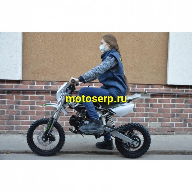 Купить  ====Питбайк BSE EVO 110 14/12 Red Blade 3 (Механическая КПП) (шт).   купить с доставкой по Москве и России, цена, технические характеристики, комплектация фото  - motoserp.ru