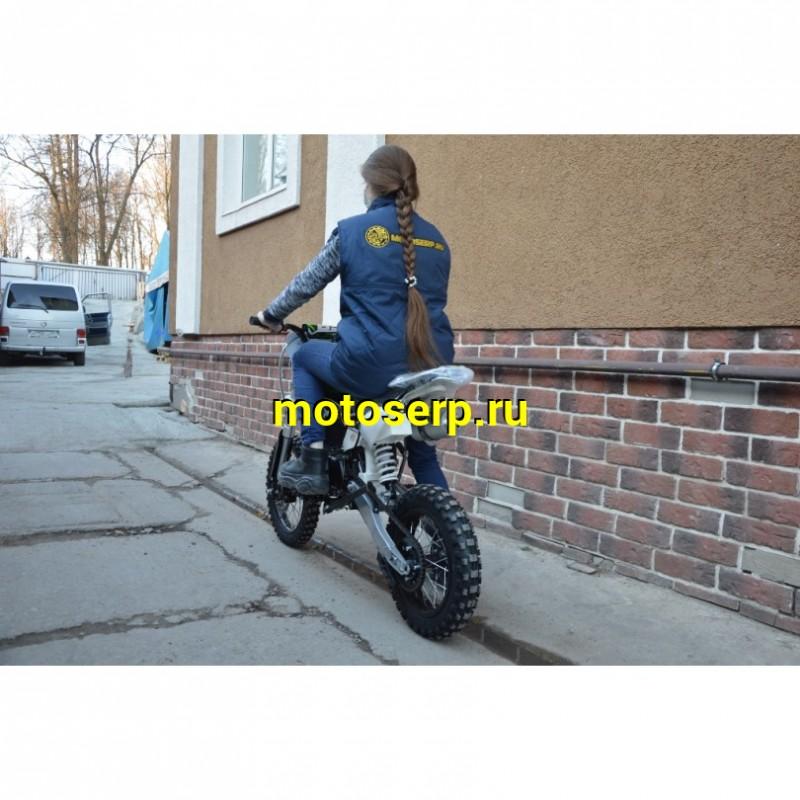 Купить  ====Питбайк BSE EVO 110 14/12 Red Blade 3 (Механическая КПП) (шт).   купить с доставкой по Москве и России, цена, технические характеристики, комплектация фото  - motoserp.ru