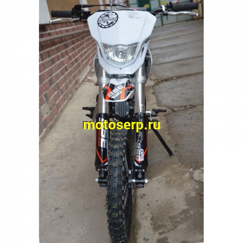 Купить  ====Питбайк BSE EVO 110 14/12 Red Blade 3 (Механическая КПП) (шт).   купить с доставкой по Москве и России, цена, технические характеристики, комплектация фото  - motoserp.ru