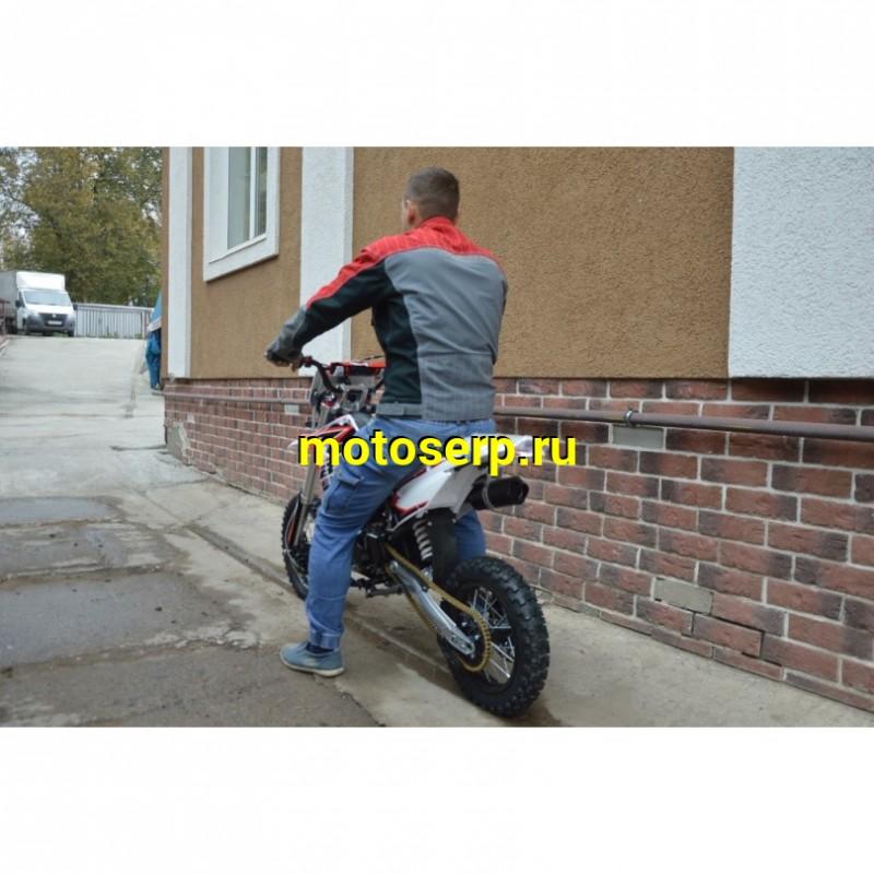 Купить  ====Питбайк BSE EX125 14/12 Green (шт) купить с доставкой по Москве и России, цена, технические характеристики, комплектация фото  - motoserp.ru