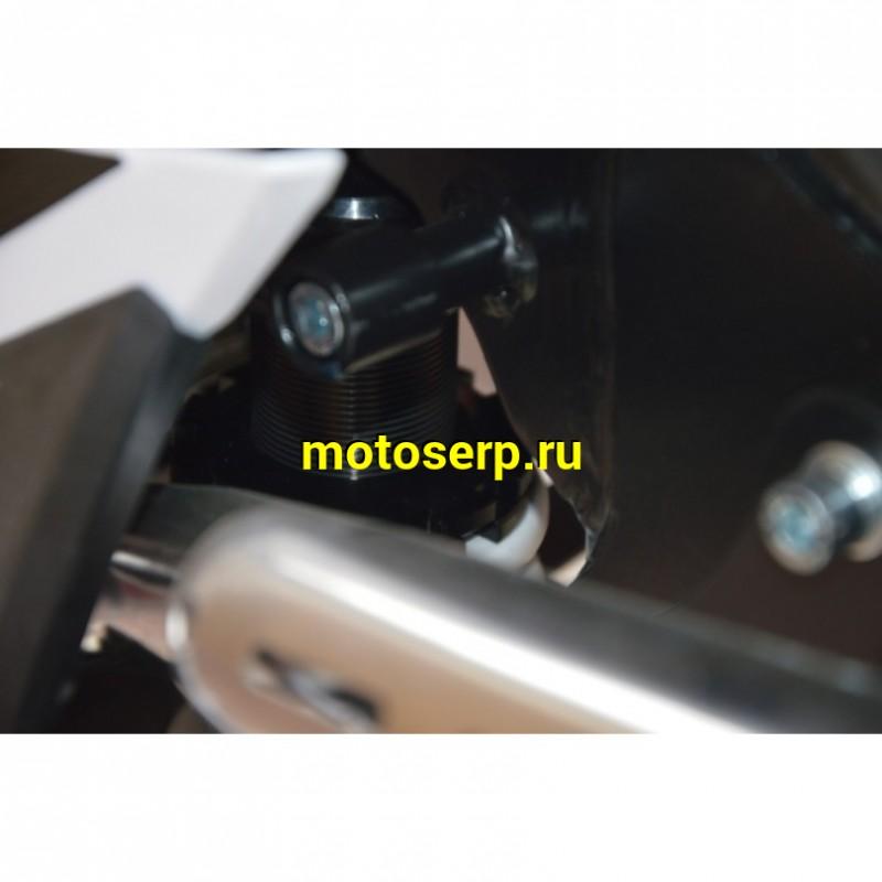 Купить  ====Питбайк BSE EX125 14/12 Green (шт) купить с доставкой по Москве и России, цена, технические характеристики, комплектация фото  - motoserp.ru