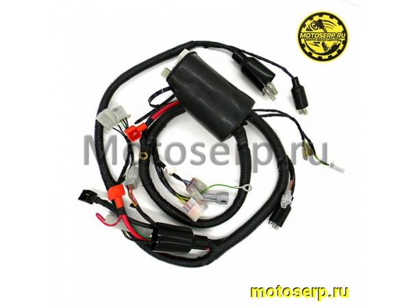 Купить  Проводка главная KAYO T2-G (шт) (SM 290-6816 купить с доставкой по Москве и России, цена, технические характеристики, комплектация фото  - motoserp.ru