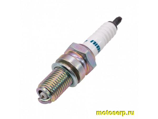 Купить  ====Свеча зажигания ( 8) NIBBI ZS165/169/172FMM, CB250 (аналог DPR8EA-9) (иридиевая) (шт) (0 купить с доставкой по Москве и России, цена, технические характеристики, комплектация фото  - motoserp.ru