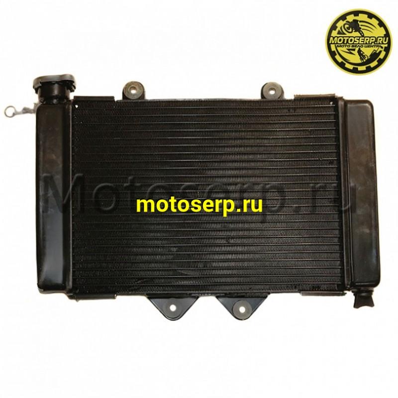 Купить  Двигатель  в сб. 250cc 174MN-3 ZS (CBS300) 4Т, 27 л.с, мех 5ск, верхн р/в, 4клап, жидк охл. полный комплект + радиатор (шт) (MM 77875 купить с доставкой по Москве и России, цена, технические характеристики, комплектация фото  - motoserp.ru