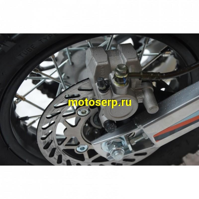 Купить  Питбайк Regulmoto PILOT 110EA (спортинв), 12/10, 110сс, (шт) купить с доставкой по Москве и России, цена, технические характеристики, комплектация фото  - motoserp.ru