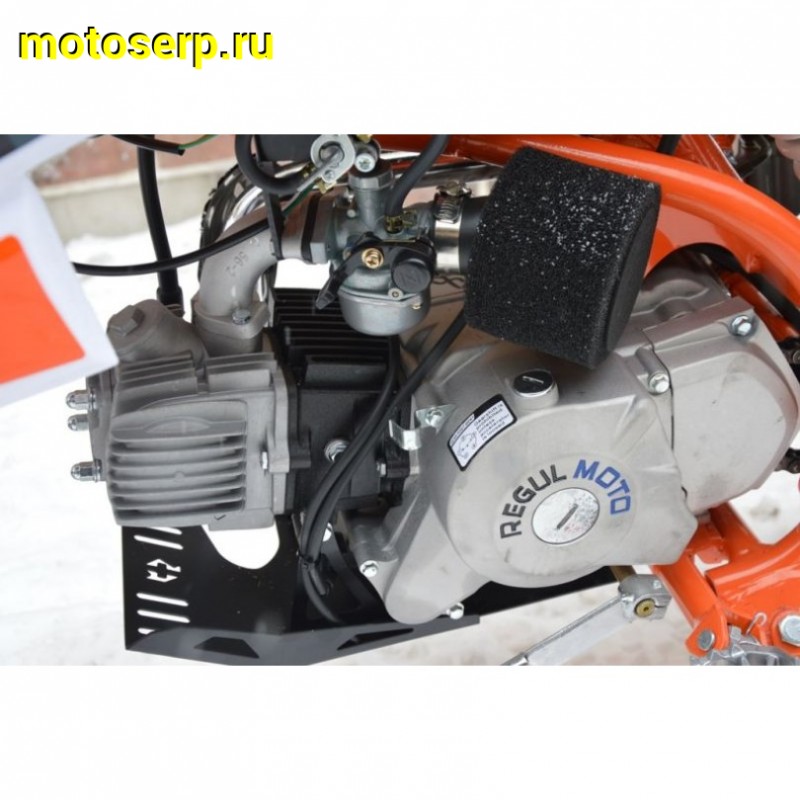 Купить  ====Питбайк Regulmoto PILOT 110EA (спортинв), 14/12, 110сс, (2021) (шт) купить с доставкой по Москве и России, цена, технические характеристики, комплектация фото  - motoserp.ru