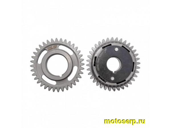 Купить  Шестерни балансирного вала 177MM (NC250)  (пара) (Regul 100095653 (Regul 100096010 купить с доставкой по Москве и России, цена, технические характеристики, комплектация фото  - motoserp.ru