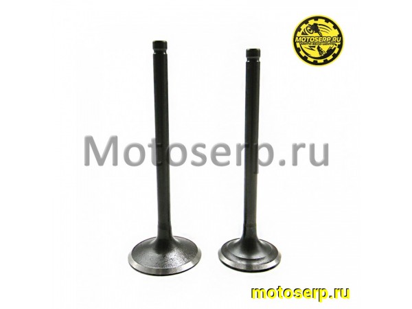 Купить  Клапан 172FMM/175FMN-2 (впуск/выпуск) (D-31,5mm, d-27mm, L-88.5mm, l-85.5mm, T-5.5mm, t-5.5mm) (пар) (Regul 100105271 (Regul 100777059 (TATA 800003006 купить с доставкой по Москве и России, цена, технические характеристики, комплектация фото  - motoserp.ru