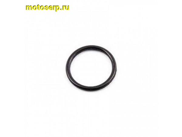 Купить  Кольцо уплотнительное 21х2 мм универсальное (шт) (Regul 1000107711 купить с доставкой по Москве и России, цена, технические характеристики, комплектация фото  - motoserp.ru