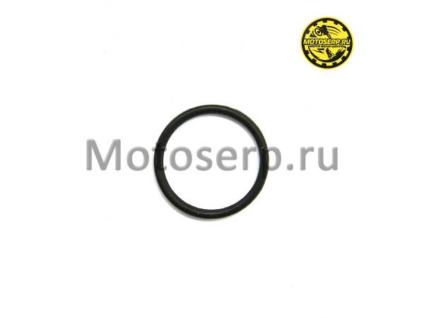 Купить  Кольцо уплотнительное  21x2 мм универсальное (шт) (Regul 1000107711 купить с доставкой по Москве и России, цена, технические характеристики, комплектация фото  - motoserp.ru