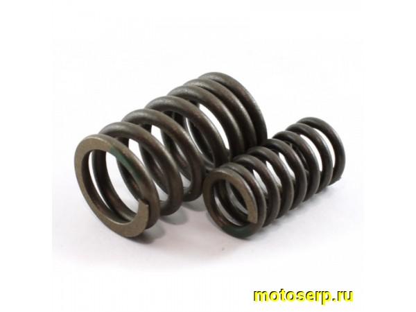 Купить  Пружины клапанов (внутр+наружняя) 172FMM (комп) (Regul 100105311 (Regul 100132108 купить с доставкой по Москве и России, цена, технические характеристики, комплектация фото  - motoserp.ru