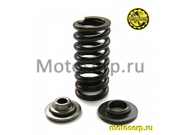 Купить  Пружины клапанов (+тарелки) 170MM,  NC250, SBS250, SBS300 (комп) (Regul 15703-ME30-0000 купить с доставкой по Москве и России, цена, технические характеристики, комплектация фото  - motoserp.ru