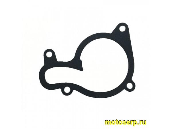 Купить  Прокладка помпы 177MM (NC250) (шт) (Regul 100104609 купить с доставкой по Москве и России, цена, технические характеристики, комплектация фото  - motoserp.ru