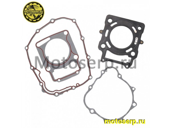 Купить  Прокладки компл. полн. 170MM (CBS250) T-Leopard (комп) (Regul 304183 (MM 78106 купить с доставкой по Москве и России, цена, технические характеристики, комплектация фото  - motoserp.ru