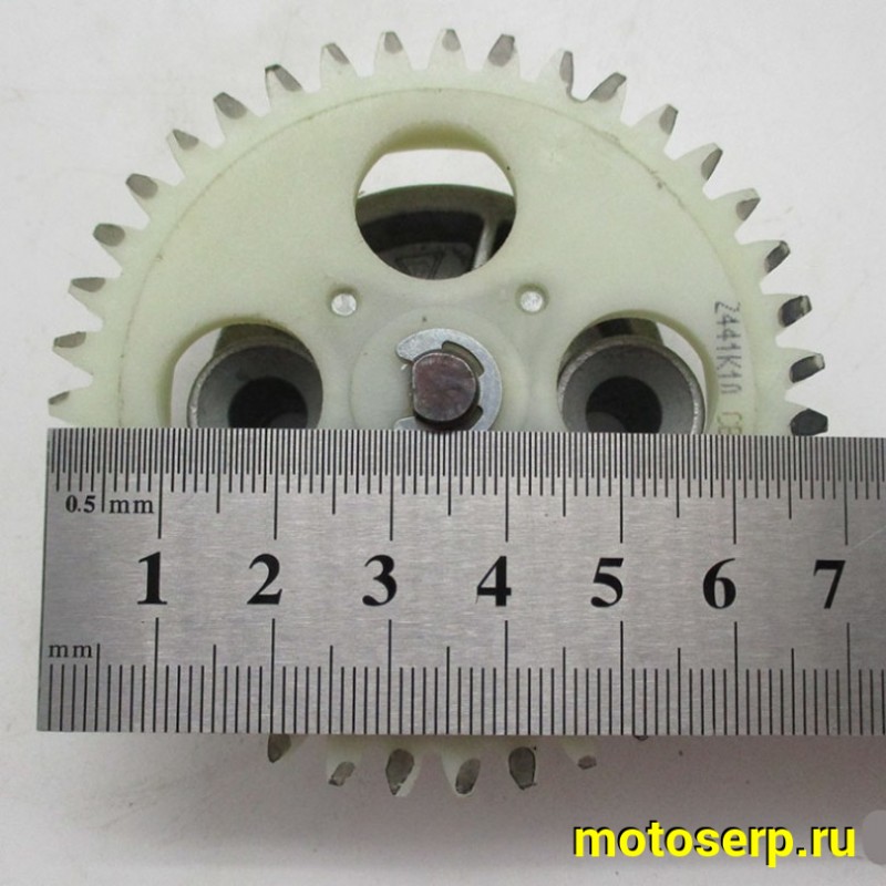 Купить  Насос масляный в сб 174MN (CR K7) (300CBS) др. 39зуб. (шт) (ZUUM 100100079 купить с доставкой по Москве и России, цена, технические характеристики, комплектация фото  - motoserp.ru