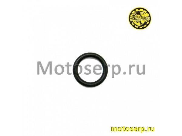 Купить  Кольцо уплотнительное (манжета) масло заливной пробки 177MM GR7 MT-250 2T (18х3,5 мм) (шт) (Regul 100107693 купить с доставкой по Москве и России, цена, технические характеристики, комплектация фото  - motoserp.ru