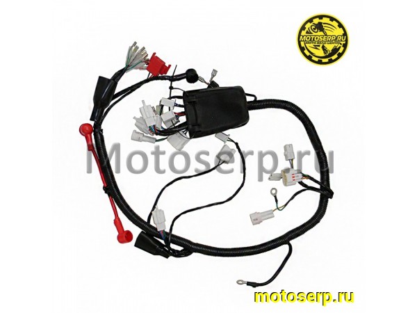 Купить  Проводка главная KAYO T2 MX (2022-) (шт) (SM 290-4513 купить с доставкой по Москве и России, цена, технические характеристики, комплектация фото  - motoserp.ru
