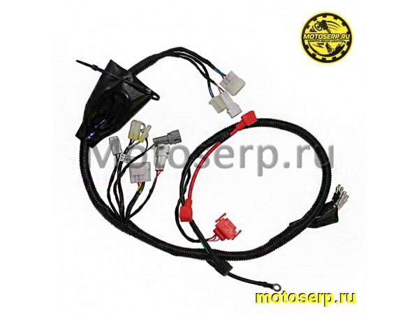 Купить  Проводка главная KAYO K1, K1L 21/18, K2 (2024) (шт) (SM 290-1170 купить с доставкой по Москве и России, цена, технические характеристики, комплектация фото  - motoserp.ru