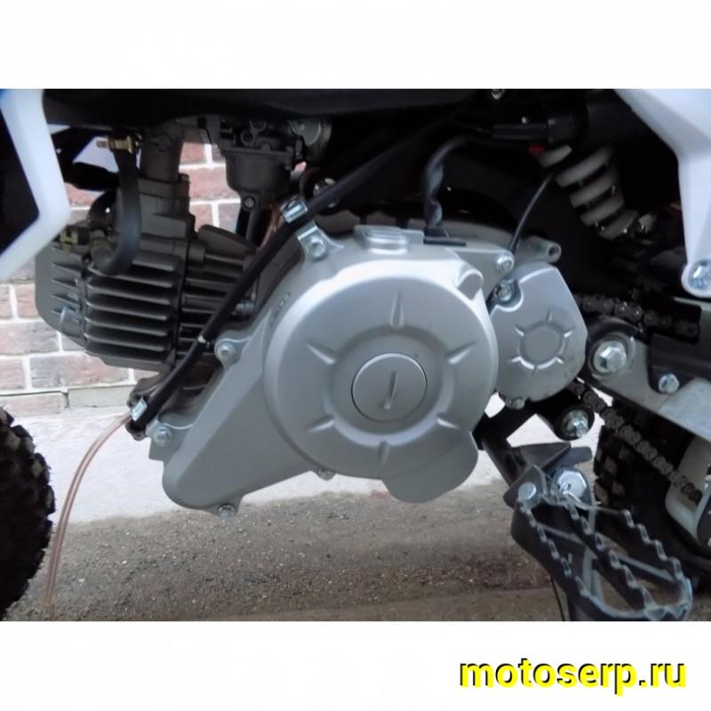 Купить  ====Питбайк PWR Racing FRZ 60 (спортинв) 10/10 автомат, электростарт. (Бер) (шт) (ML 15156 купить с доставкой по Москве и России, цена, технические характеристики, комплектация фото  - motoserp.ru