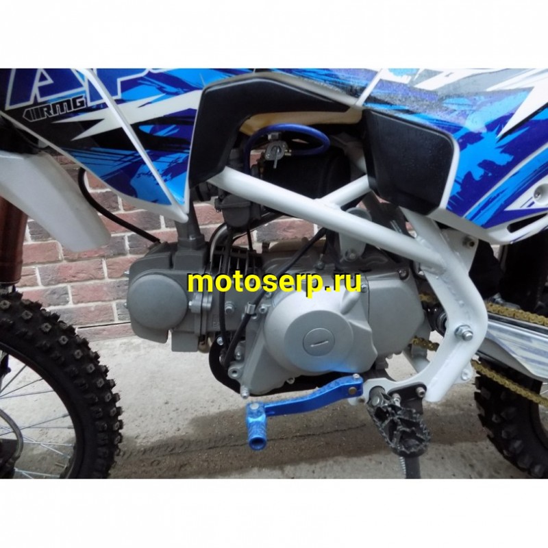 Купить  Питбайк Motoland APEX 125 Е (спортинв), 125сс, 17/14", Синий  (шт) (ML 15294 купить с доставкой по Москве и России, цена, технические характеристики, комплектация фото  - motoserp.ru
