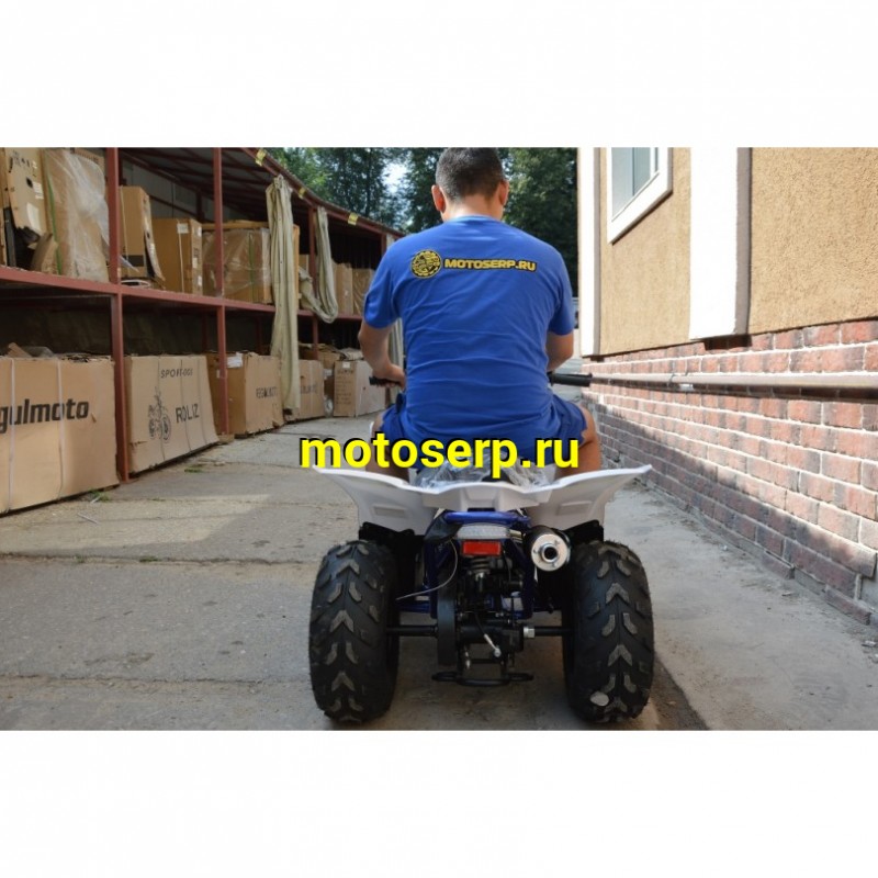 Купить  ====110cc Квадроцикл Mikilon Rapide 110 (шт) (0 купить с доставкой по Москве и России, цена, технические характеристики, комплектация фото  - motoserp.ru