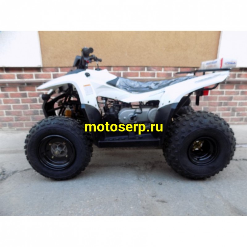 Купить  ====100cc Квадроцикл Baltmotors JAM 100 (ЭПТС)  (шт) купить с доставкой по Москве и России, цена, технические характеристики, комплектация фото  - motoserp.ru
