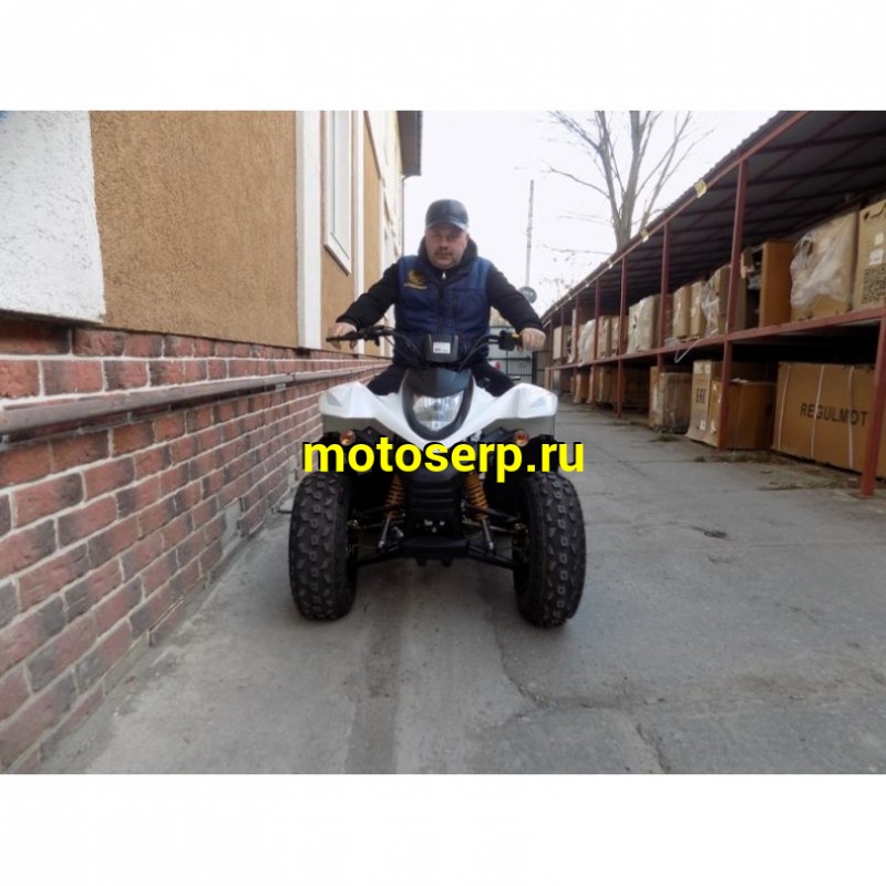 Купить  ====100cc Квадроцикл Baltmotors JAM 100 (ЭПТС)  (шт) купить с доставкой по Москве и России, цена, технические характеристики, комплектация фото  - motoserp.ru