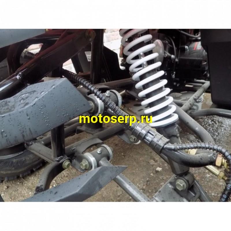 Купить  ====150сс Квадроцикл COYOTE 150сс, утилит,  (шт) (ZUUMAV купить с доставкой по Москве и России, цена, технические характеристики, комплектация фото  - motoserp.ru