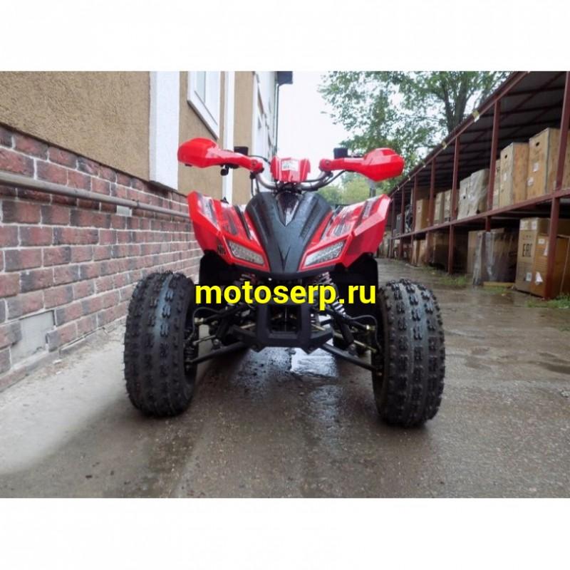 Купить  ====150сс Квадроцикл COYOTE 150сс, утилит,  (шт) (ZUUMAV купить с доставкой по Москве и России, цена, технические характеристики, комплектация фото  - motoserp.ru
