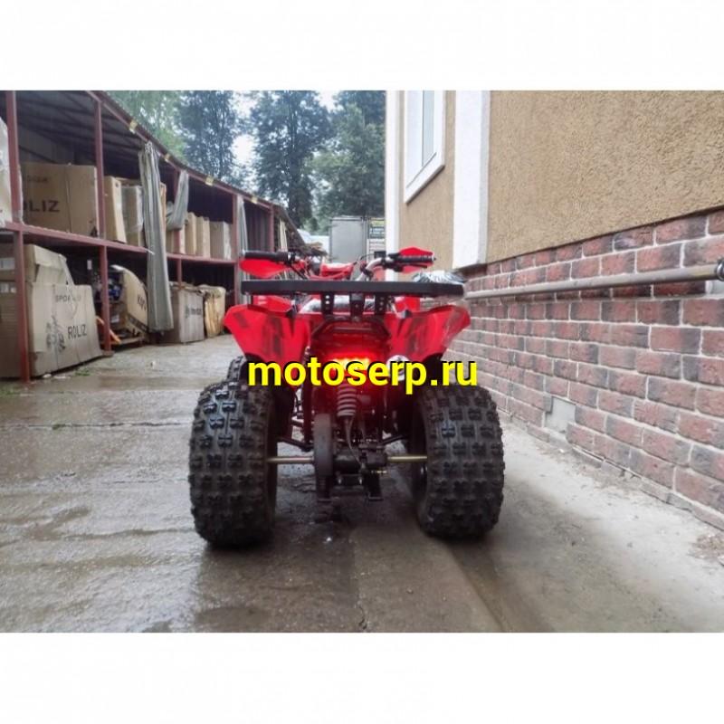 Купить  ====150сс Квадроцикл COYOTE 150сс, утилит,  (шт) (ZUUMAV купить с доставкой по Москве и России, цена, технические характеристики, комплектация фото  - motoserp.ru