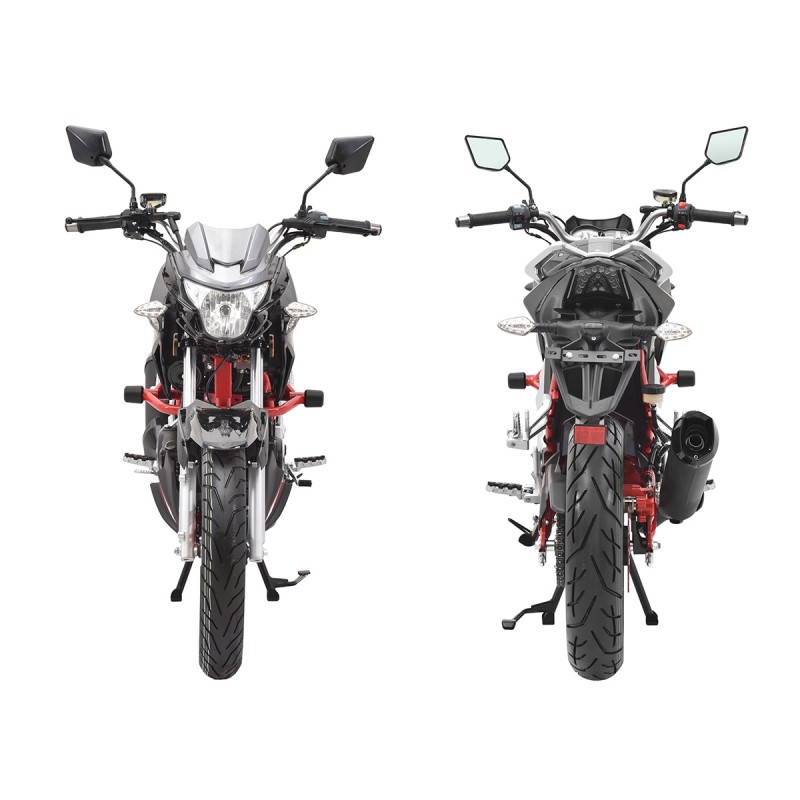 Купить  Мотоцикл Regulmoto Raptor new (Регулмото Раптор нью) 250сс,4Т ,возд.охл.,торм. диск/диск,,кол. 17"/17" (шт) (Regul купить с доставкой по Москве и России, цена, технические характеристики, комплектация фото  - motoserp.ru