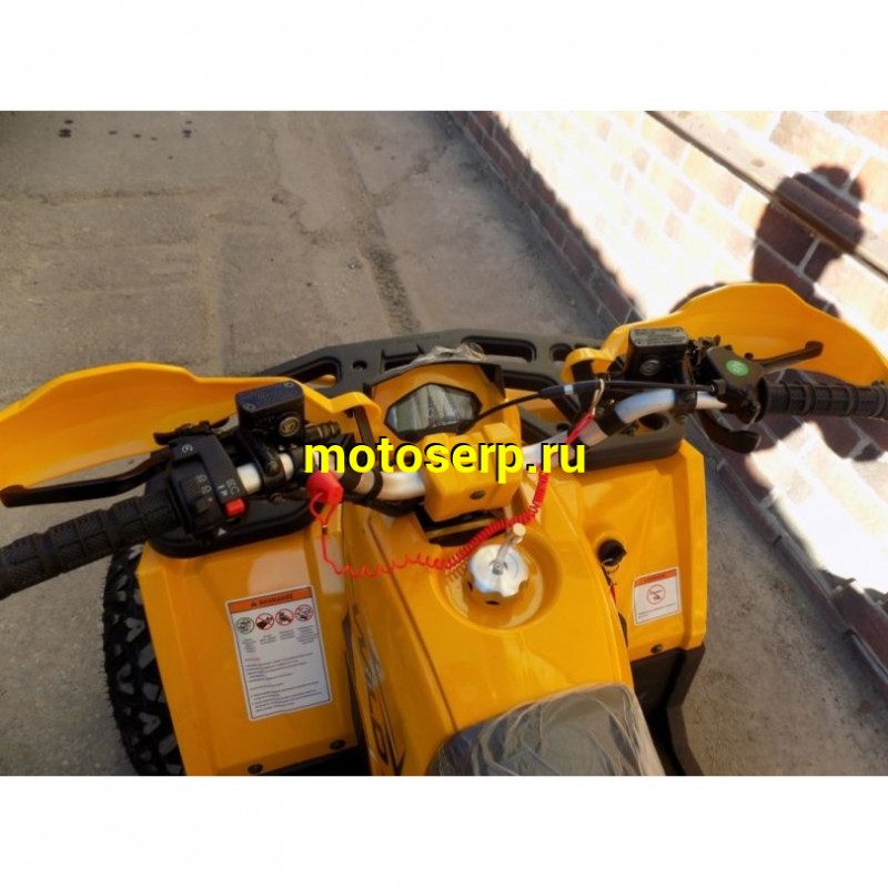 Купить  ====125cc Квадроцикл Motoland WILD-125 X A 125сс, БАЛАНСИР! утилит, 2х4, колеса 8", ЖЕЛТЫЙ  (шт) (ML 17621 купить с доставкой по Москве и России, цена, технические характеристики, комплектация фото  - motoserp.ru