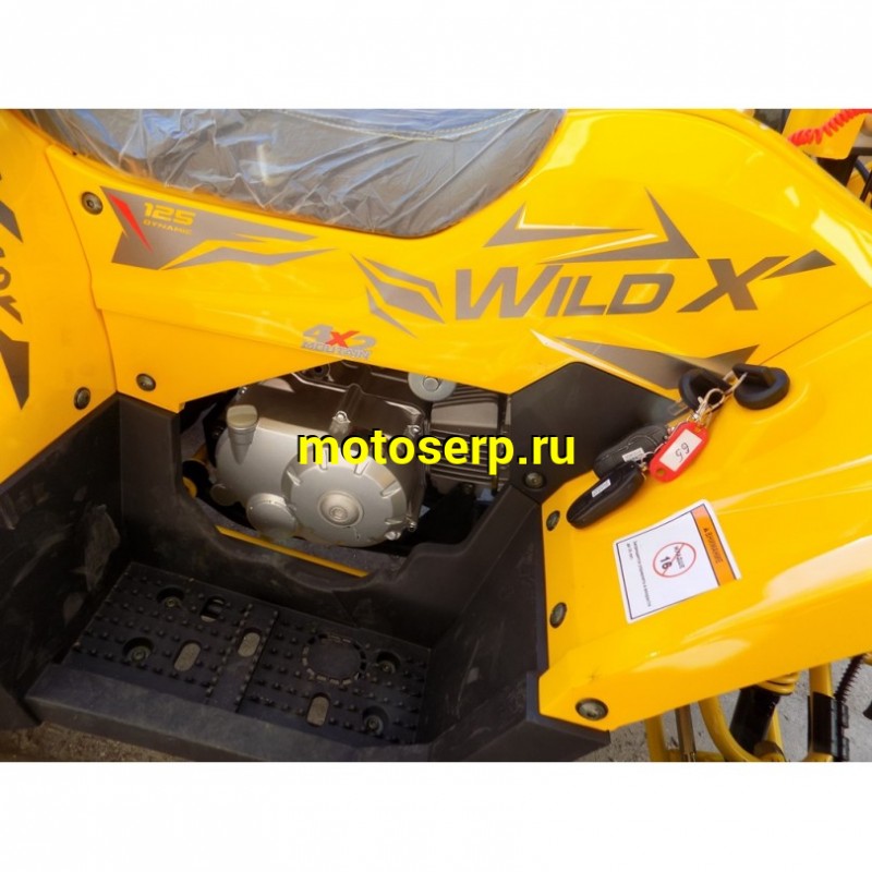 Купить  ====125cc Квадроцикл Motoland WILD-125 X A 125сс, БАЛАНСИР! утилит, 2х4, колеса 8", ЖЕЛТЫЙ  (шт) (ML 17621 купить с доставкой по Москве и России, цена, технические характеристики, комплектация фото  - motoserp.ru