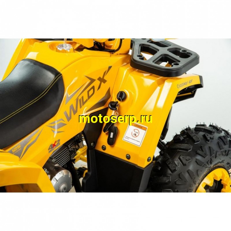 Купить  ====125cc Квадроцикл Motoland WILD-125 X A 125сс, БАЛАНСИР! утилит, 2х4, колеса 8", ЖЕЛТЫЙ  (шт) (ML 17621 купить с доставкой по Москве и России, цена, технические характеристики, комплектация фото  - motoserp.ru