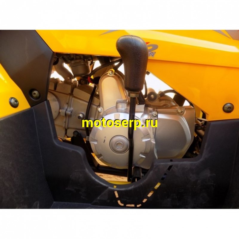 Купить  ====125cc Квадроцикл Motoland WILD-125 X A 125сс, БАЛАНСИР! утилит, 2х4, колеса 8", ЖЕЛТЫЙ  (шт) (ML 17621 купить с доставкой по Москве и России, цена, технические характеристики, комплектация фото  - motoserp.ru