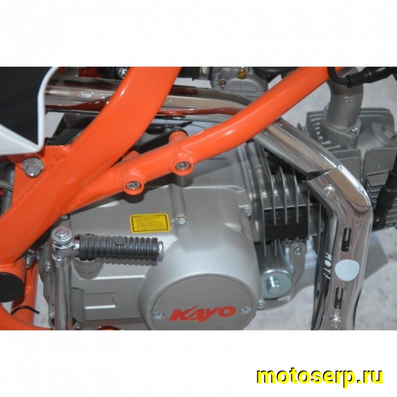 Купить  ====Питбайк KAYO BASIC TT125EA 17/14 KRZ (п/автомат, эл. стартер) (зал) (шт) (SM купить с доставкой по Москве и России, цена, технические характеристики, комплектация фото  - motoserp.ru