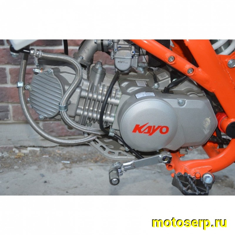 Купить  Питбайк KAYO TT160 17/14 KRZ (механ. сцепл., кикстартер) (шт) (SM купить с доставкой по Москве и России, цена, технические характеристики, комплектация фото  - motoserp.ru