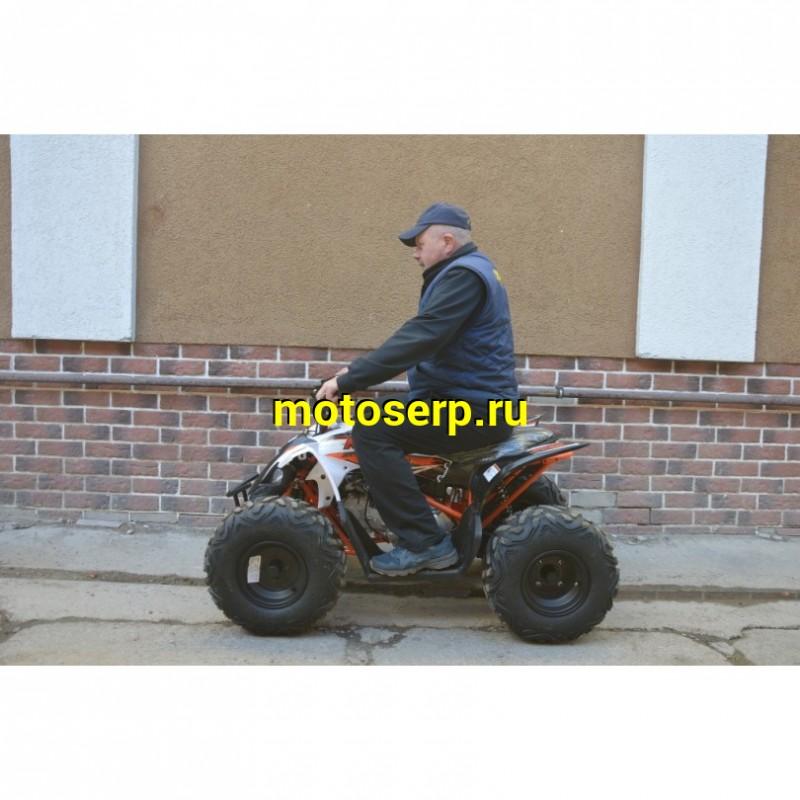 Купить  110cc Квадроцикл KAYO AT110 (PREDATOR 110) (белый пластик,комплект запчастей) 2023 г. (зал) (шт) (SM купить с доставкой по Москве и России, цена, технические характеристики, комплектация фото  - motoserp.ru