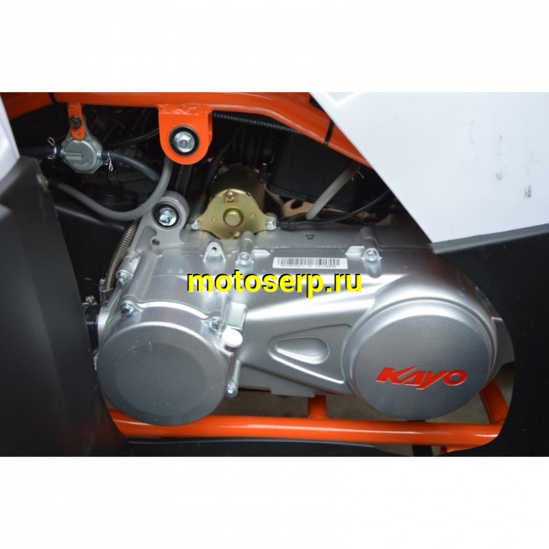 Купить  ====150cc Квадроцикл KAYO AU150 CVT (BULL-2C) (белый пластик,комплект запчастей) 2023 г. (шт) (SM купить с доставкой по Москве и России, цена, технические характеристики, комплектация фото  - motoserp.ru